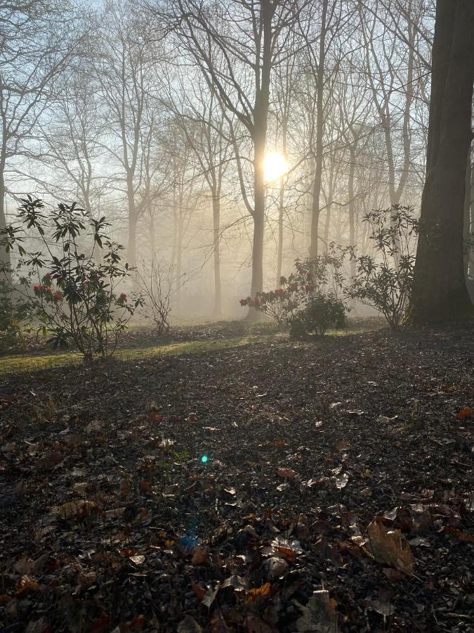 B&B Miranoza Oud-Heverlee Eksteriør bilde